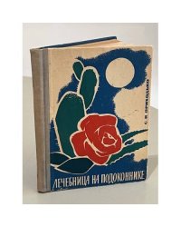 Лечебница на подоконнике