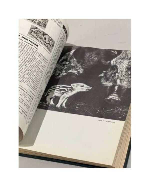 «Охота и охотничье хозяйство». Подшивка журналов за 1973 год. Комплект.