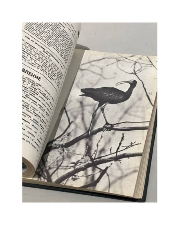 Дополнительное изображение книги ««Охота и охотничье хозяйство». Подшивка журналов за 1972 год. Комплект.»