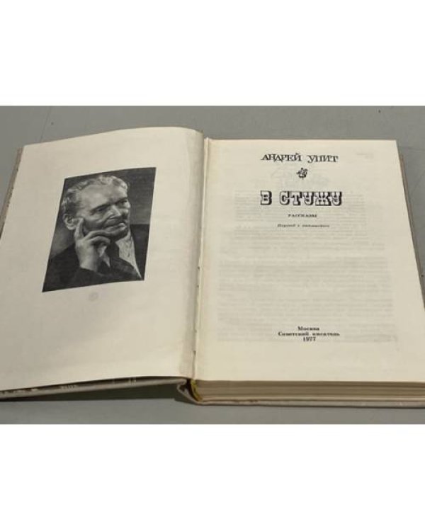 Дополнительное изображение книги «В стужу»