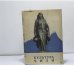Обложка книги «Культура Чили» — Автор не указан
