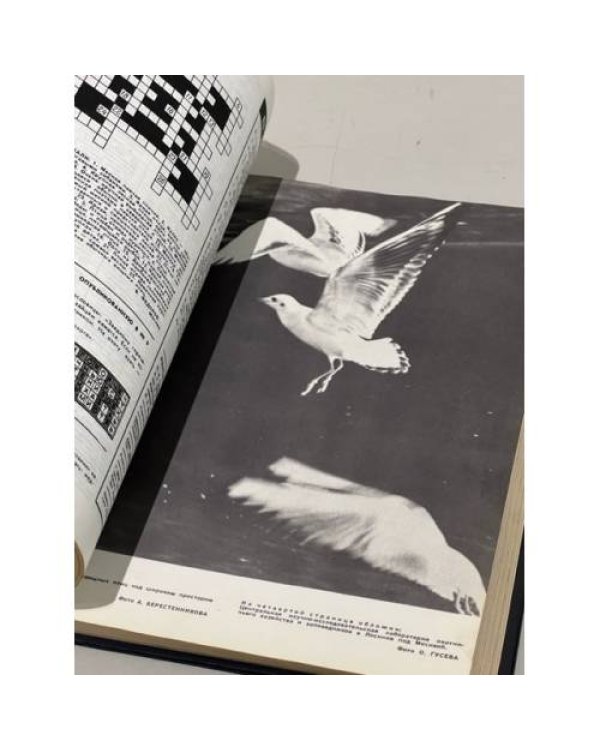 Дополнительное изображение книги ««Охота и охотничье хозяйство». Подшивка журналов за 1971 год. Комплект.»