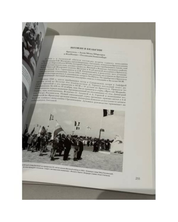 Дополнительное изображение книги «Национальная организация витязей. Хроника 1934–2004»