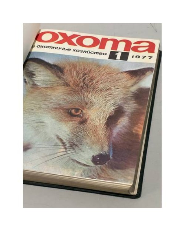 Дополнительное изображение книги ««Охота и охотничье хозяйство». Подшивка журналов за 1977 год. Комплект.»