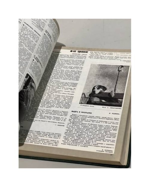 Дополнительное изображение книги ««Охота и охотничье хозяйство». Подшивка журналов за 1977 год. Комплект.»