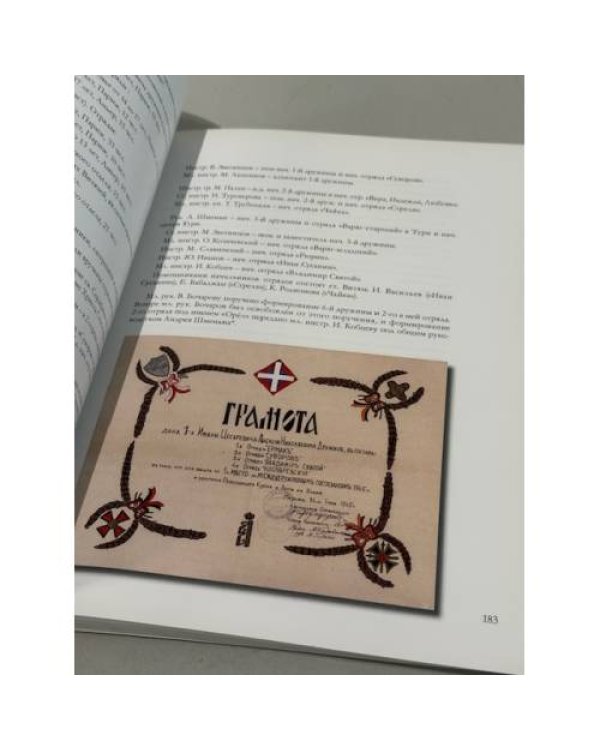 Дополнительное изображение книги «Национальная организация витязей. Хроника 1934–2004»
