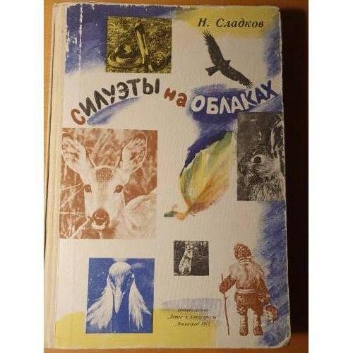 Силуэты на облаках
