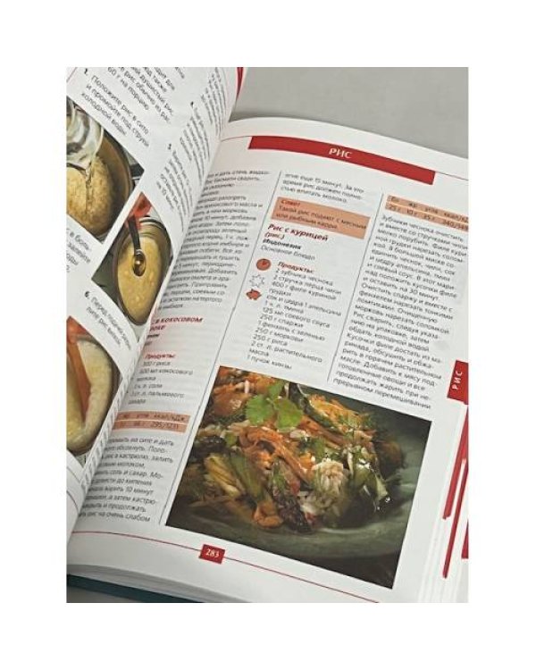 Asia. Большая книга кулинарных идей