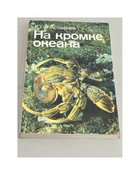 На кромке океана