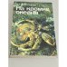 Обложка книги «На кромке океана» — Астафьев Юрий Федорович