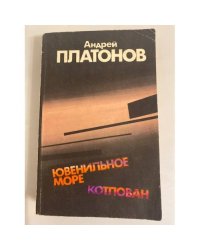 Ювенильное море. Котлован