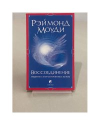  Воссоединение. Общение с потусторонним миром