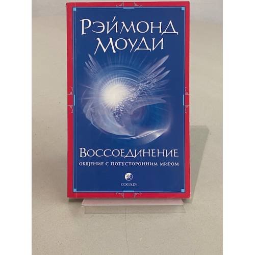  Воссоединение. Общение с потусторонним миром