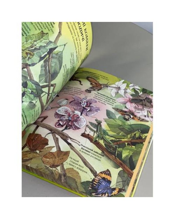 Велика книга комах і не тільки