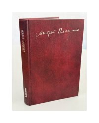 Записные книжки. Материалы к биографии