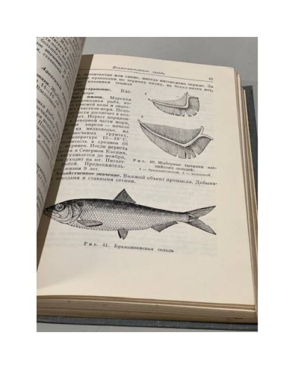 Дополнительное изображение книги «Рыбы СССР»