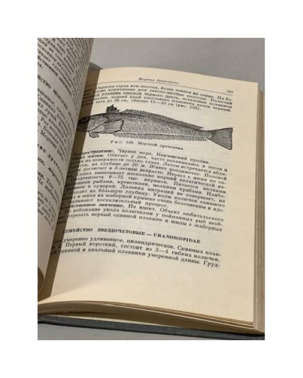 Дополнительное изображение книги «Рыбы СССР»