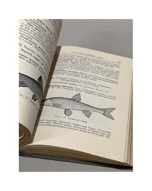 Дополнительное изображение книги «Рыбы СССР»