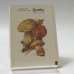 Обложка книги «Грибы. Выпуск второй» — А. К. Шипиленко, Т. Д. Никиточкина