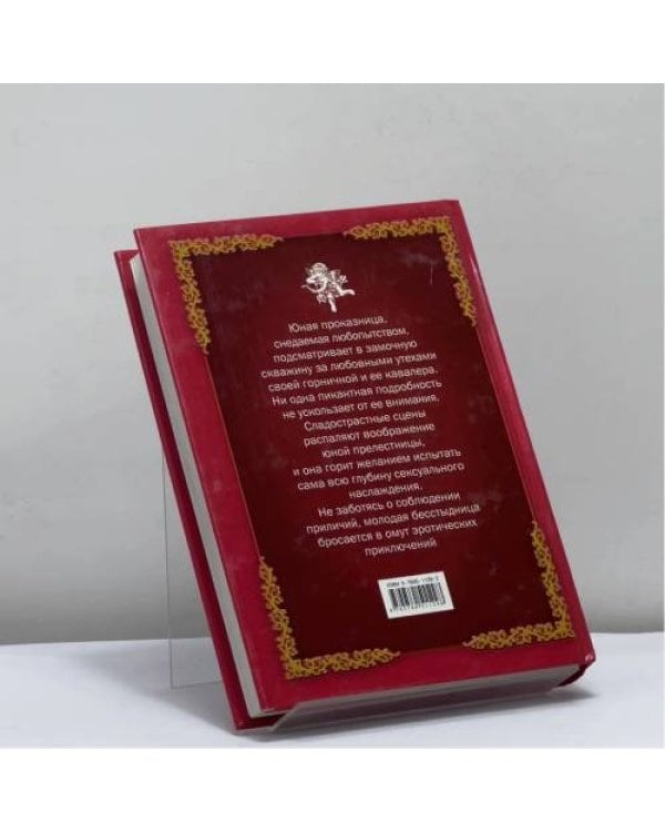 Дополнительное изображение книги «Похождения юной блудницы»