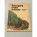 Обложка книги «Навстречу свету и теплу» — Кузнецова Анастасия, ISBN 5200004446
