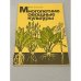 Обложка книги «Многолетние овощные культуры» — Алексеева М. В.
