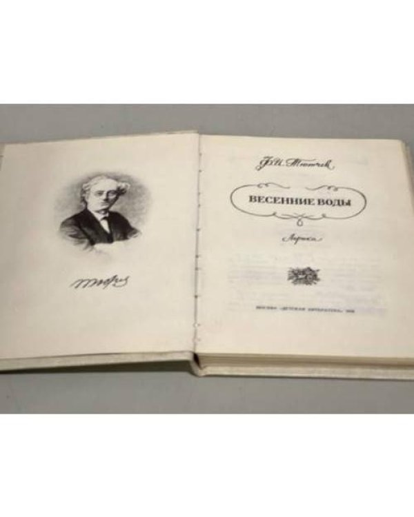 Дополнительное изображение книги «Весенние воды»