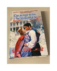 Снежная ночь с незнакомцем
