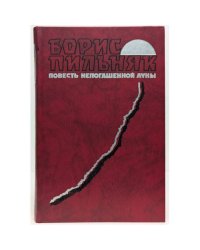Повесть непогашенной луны