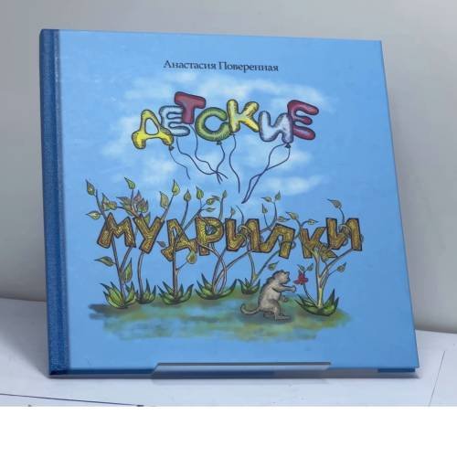 Обложка книги «Детские мудрилки» — Анастасия Поверенная, ISBN 9783000737756