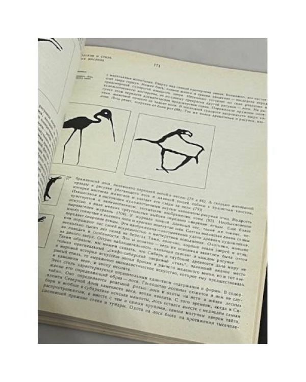 Дополнительное изображение книги «Сокровища томских Писаниц. Наскальные рисунки эпохи неолита и бронзы»