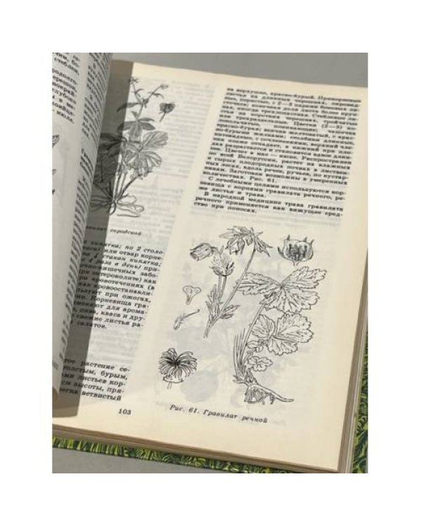 Дополнительное изображение книги «Дары наших лесов»