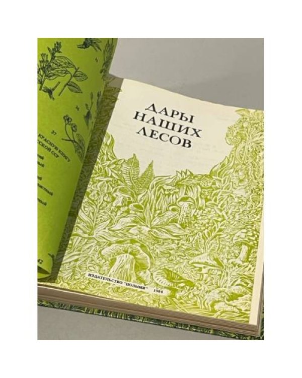 Дополнительное изображение книги «Дары наших лесов»