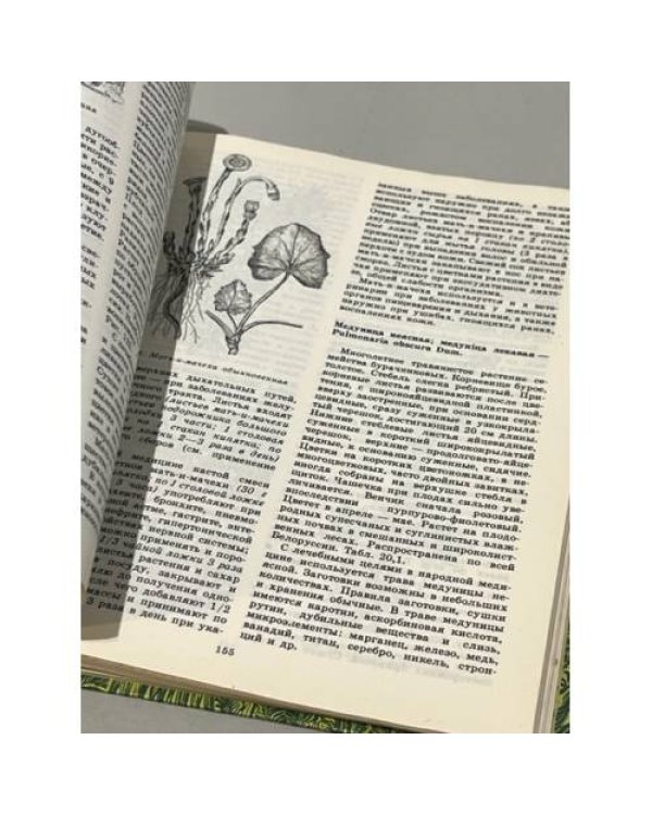 Дополнительное изображение книги «Дары наших лесов»