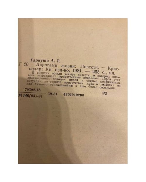 Дополнительное изображение книги «Дорогами жизни»