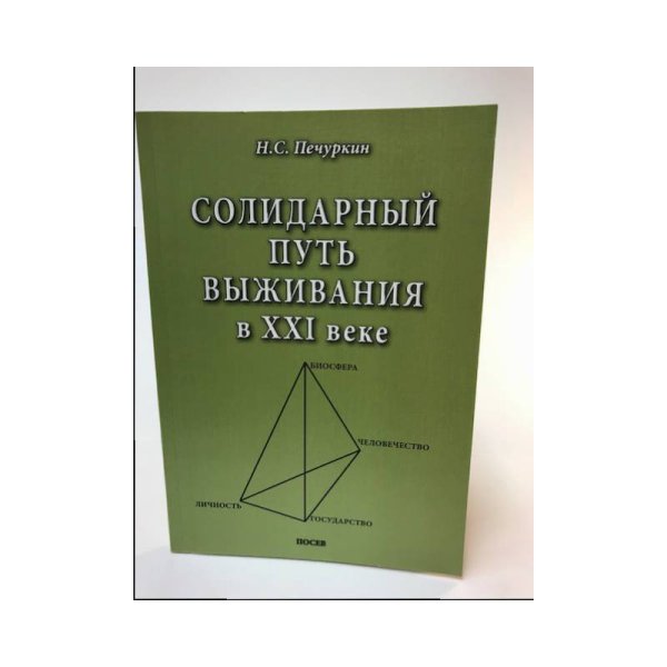 Обложка книги «Солидарный путь выживания в ХХI веке» — Печуркин Н. С.