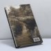 Дополнительное изображение книги «Судьба моя сгорела между строк»