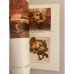 Дополнительное изображение книги «Вторая жизнь дерева»