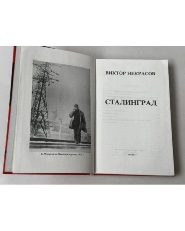 Дополнительное изображение книги «В окопах Сталинграда»