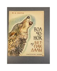 Волчонок из Бетпак-Далы