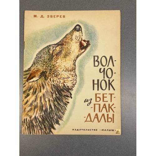 Волчонок из Бетпак-Далы