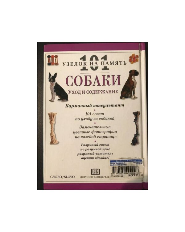 Собаки: уход и содержание
