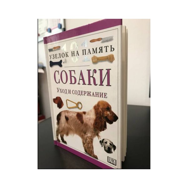 Собаки: уход и содержание