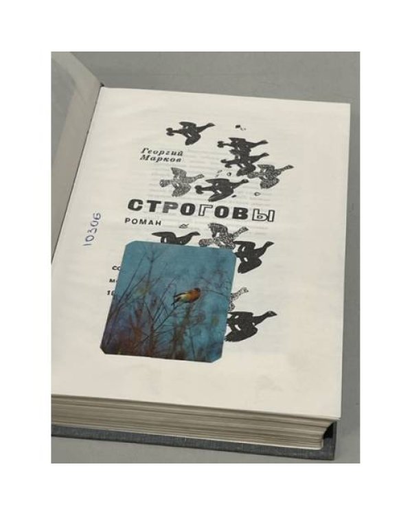 Строговы