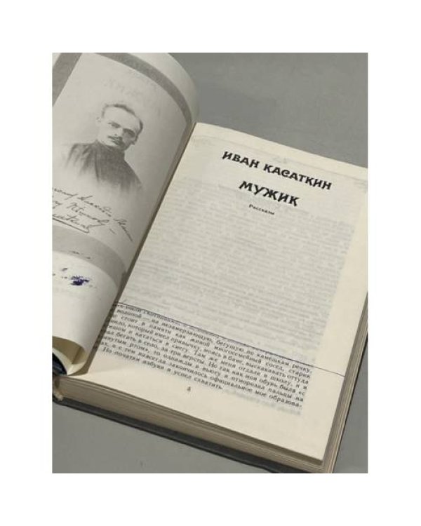 Дополнительное изображение книги «Иван Касаткин. Мужик»