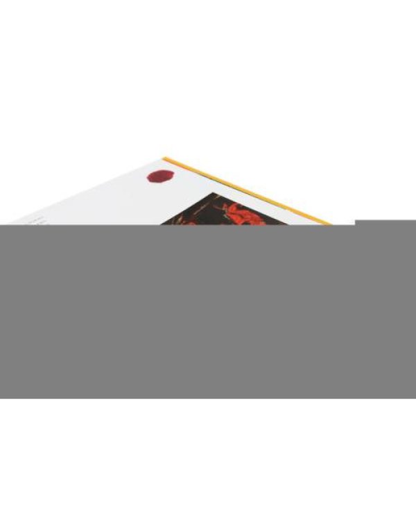 Дополнительное изображение книги «Хаим Сутин - бой с цветом»
