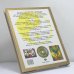 Дополнительное изображение книги «Практическая энциклопедия Фэншуй»