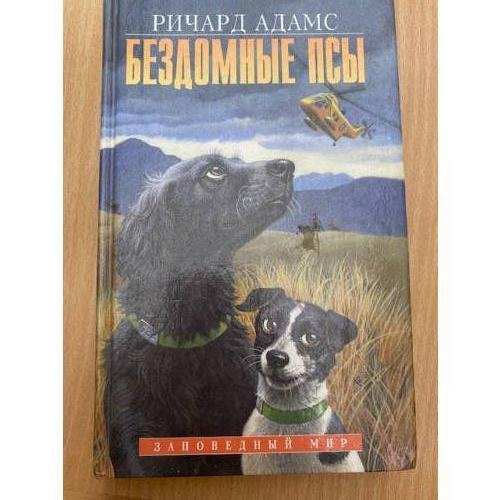 Бездомные псы