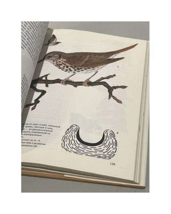 Дополнительное изображение книги «Певчие птицы»