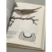 Дополнительное изображение книги «Певчие птицы»